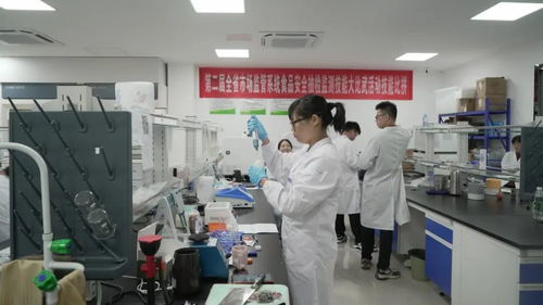 江西全省市場監管系統食品安全抽檢監測技能大比武活動圓滿落幕，信息技術咨詢服務助力監管能力提升
